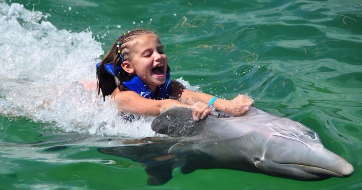 Dolphin Encounter en Saint Kitts